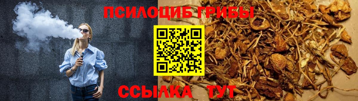 купить наркотик  Псилоцибиновые грибы Psilocybe  Псилоцибиновые грибы Psilocybine cubensis  Вход с VPN  Сегежа 